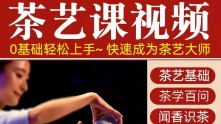自学泡茶师品茶茶艺茶道视频教程零基础新手入门全套培训教学课程